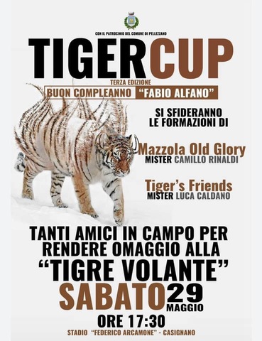 Tiger Cup - Memorial per Fabio Alfano
