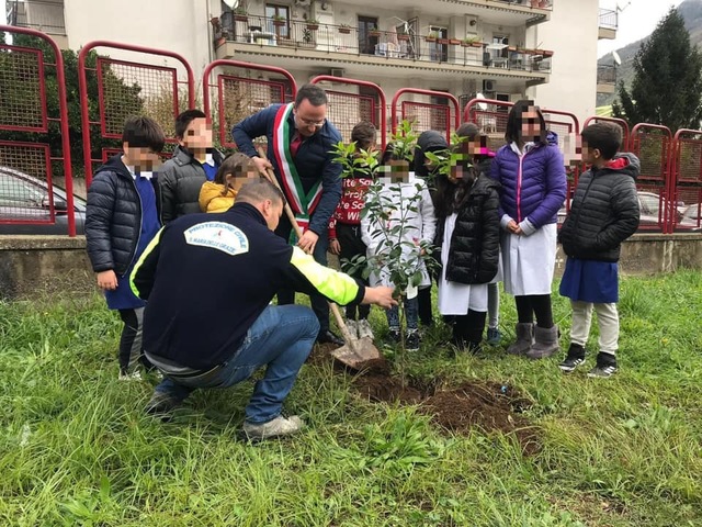 Festa degli alberi 2019, l’Amministrazione Comunale dona alberi da frutto 